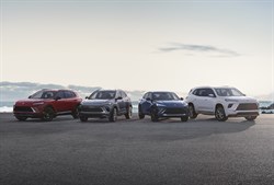 2025 Buick Family Front Facing Tension Graphic Insert