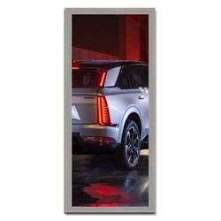 25 x 64 ESCALADE IQ Taillamp Framed Art