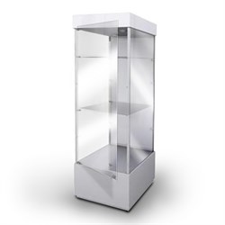 Vertical Trophy Case