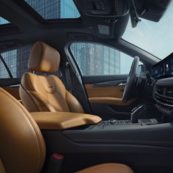 40 x 40 CT5 Premium Luxury Interior Framed Art